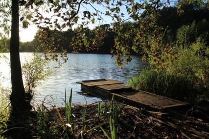 View of the lake at Apley Woods